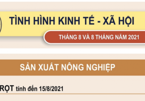 [Infographics] Bức tranh kinh tế Việt Nam giữa đại dịch