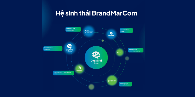 he-sinh-thai-brandmarcom-1